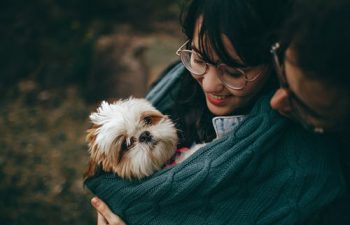 Vet Holistic Care: How Aromatherapy Helps Your Dogs