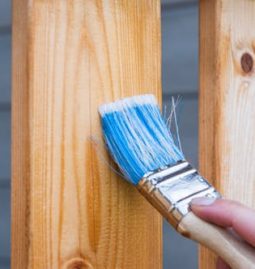 A Homeowner’s Guide: Causes of Property Damage You Need to Watch Out For