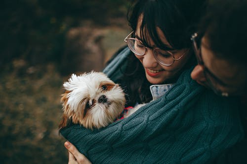 Link Between Bad Breath and Pet Health Issues