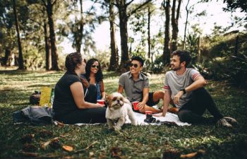 A Complete Guide to the Health and Wellness of Pets
