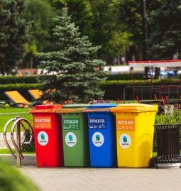 The Ultimate Guide to Commercial Trash Compactors