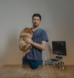 Common Signs of Neurological Conditions in Dogs