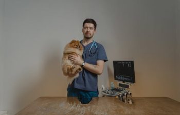 How to Care for an Adopted Pet: 5 Crucial Tips