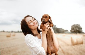 What to Expect During Pet Surgery Recovery