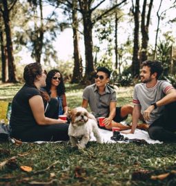 When Should Elderly Pets See an Internal Medicine Specialist for Pets?