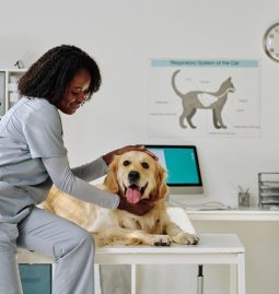 Is Parasite Control Vital for Pet Surgery Prep?