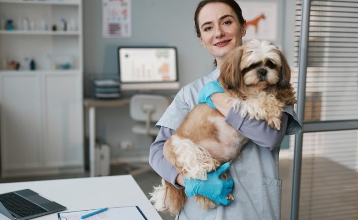 How Does Preventive Care Reduce Pet Emergency Risks?