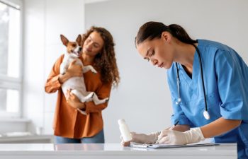 How Do Vaccines Aid Emergency Pet Care?