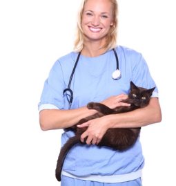 How Can Dental Care Prevent Pet Surgery Complications?