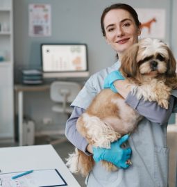 How Does Preventive Care Reduce Pet Emergency Risks?