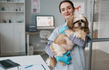 How Does Preventive Care Reduce Pet Emergency Risks?