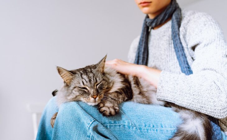 What Is Preventive Pet Care, and Why Does It Matter?