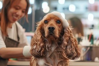 How Does Mobile Dog Grooming Work for Busy Pet Owners?