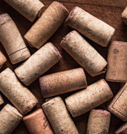 How to Ensure Your Cork Products Are Sustainably Sourced?