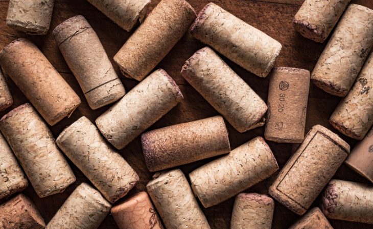 How to Ensure Your Cork Products Are Sustainably Sourced?