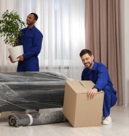 Efficient Moving Strategies: Save Time and Hassle During Relocation