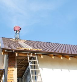 Why Hire Professionals to Fix Your Roof?