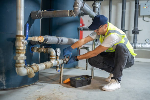 Professional Plumbing: When to Call in the Experts