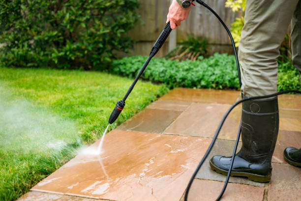 The Dangers of Mold and Mildew: Why Regular Pressure Washing is Crucial