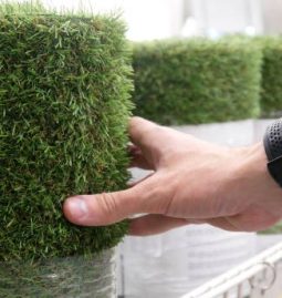 Pet Owners’ Guide to Odor-Free Turf: Best Cleaning Practices