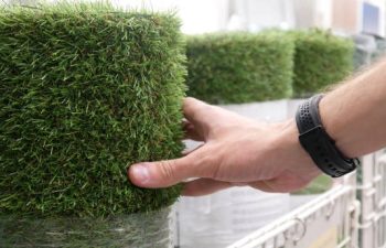 Pet Owners’ Guide to Odor-Free Turf: Best Cleaning Practices